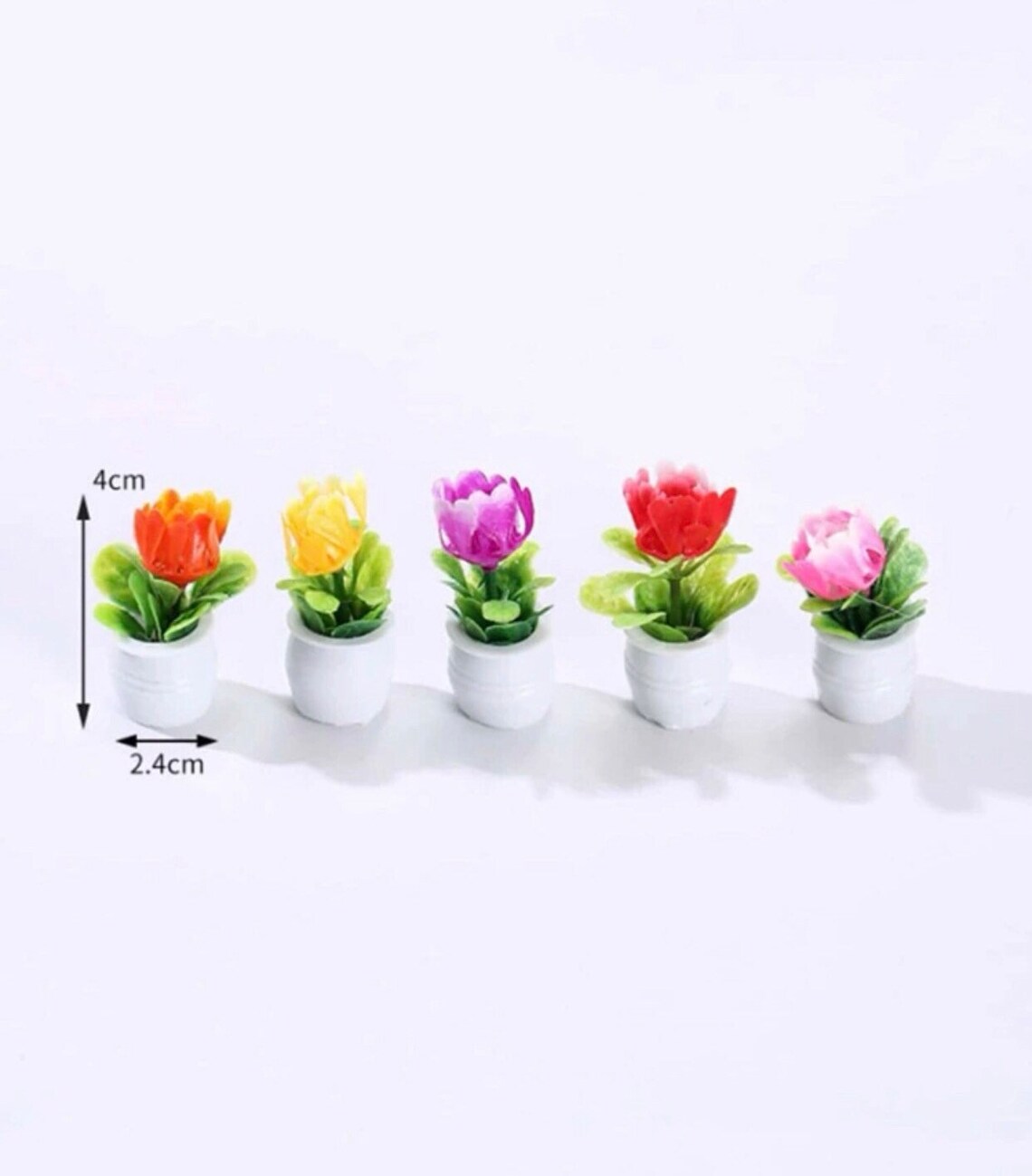 Miniature Potted Flower Plant