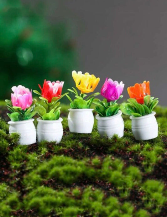 Miniature Potted Flower Plant