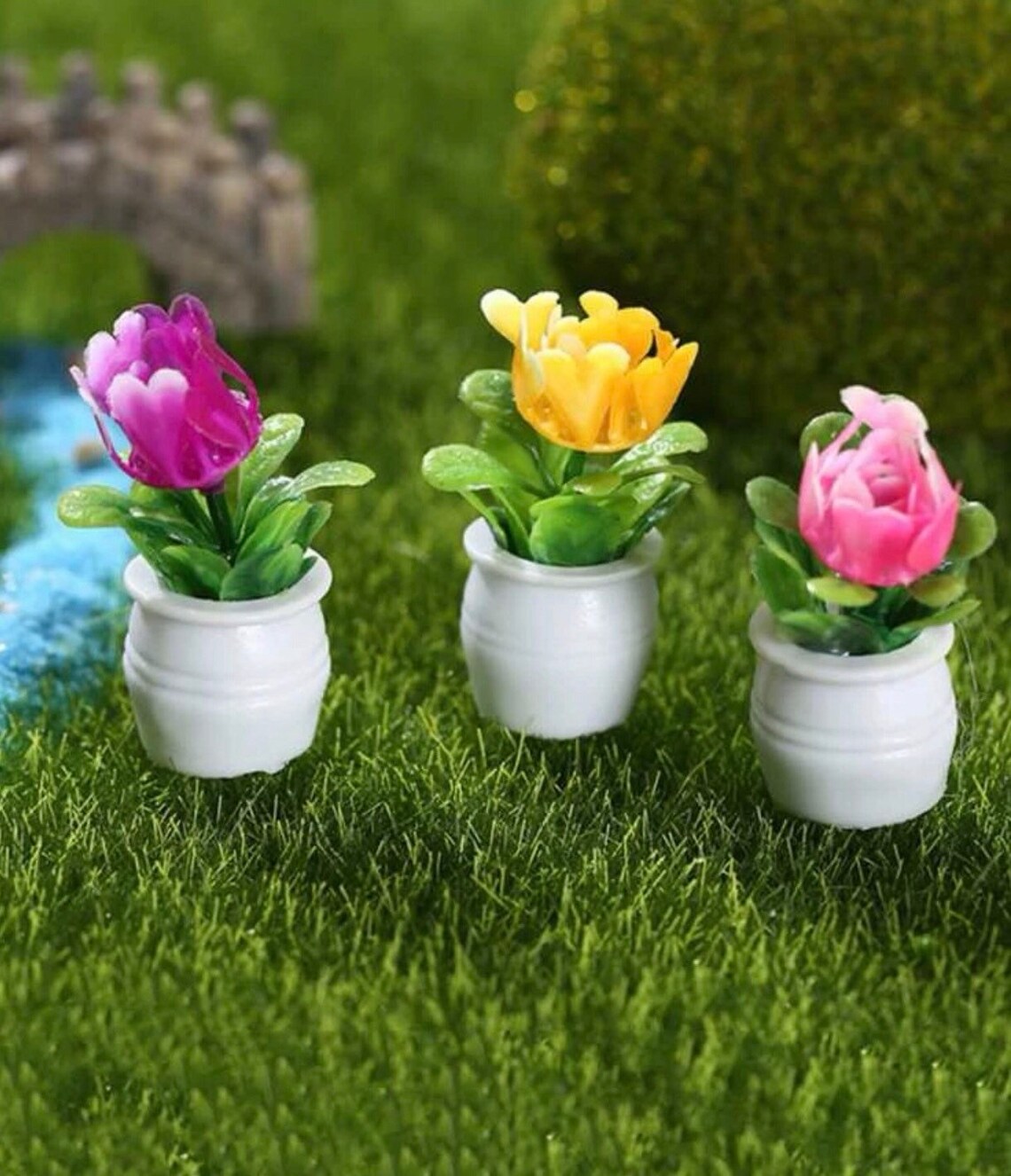 Miniature Potted Flower Plant